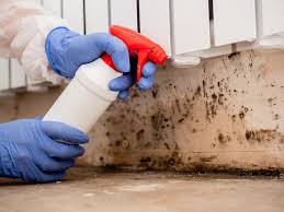 Forensic Mold Investigation in Linglestown, PA